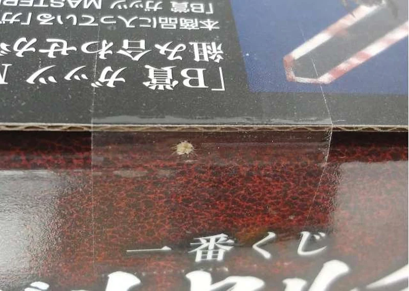 BANDAI [Ungeöffnet] Dragon Slayer C Prize MASTERLISE