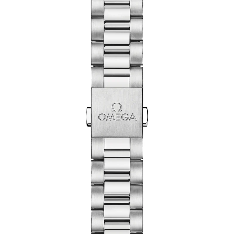 Seamaster Aqua Terra 38mm - Black on Bracelet