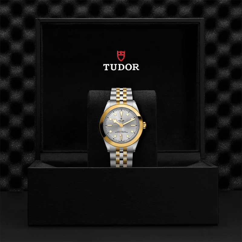 Black Bay One S&G 39mm - Silver on Bracelet