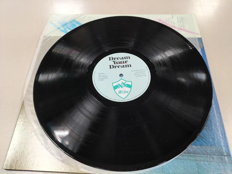 VICTOR LP-Schallplatte TRAUM DEINEN TRAUM
