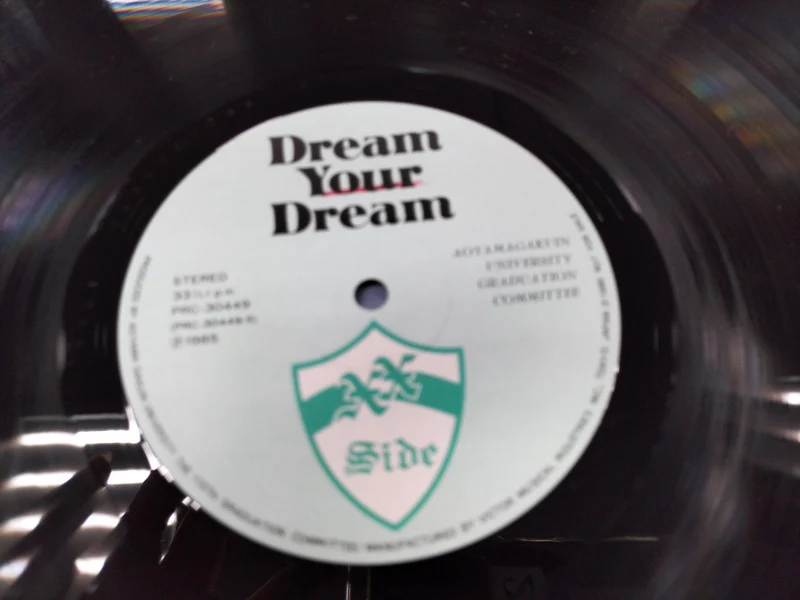 VICTOR LP-Schallplatte TRAUM DEINEN TRAUM