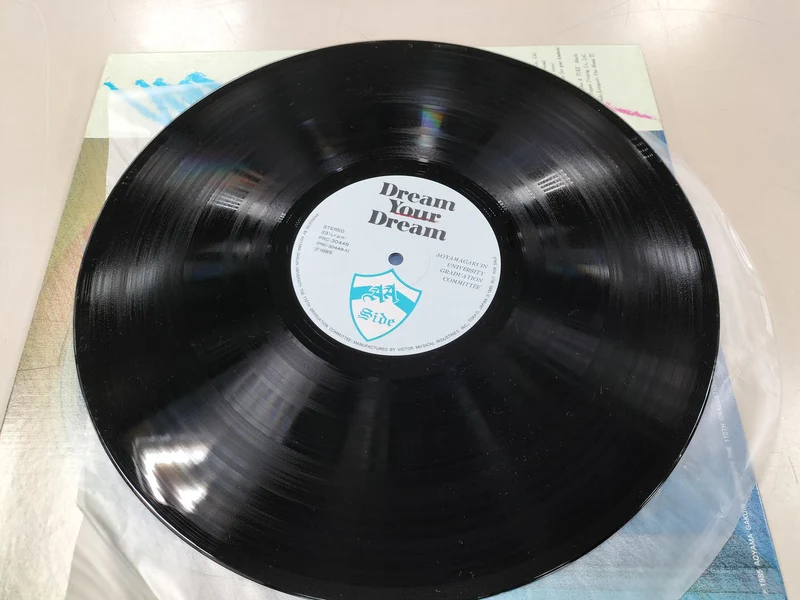 VICTOR LP-Schallplatte TRAUM DEINEN TRAUM