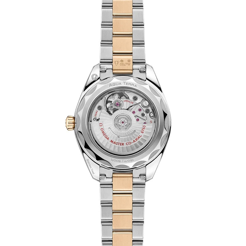 Seamaster Aqua Terra 150M Two-Tone 30mm - Silver on Bracelet