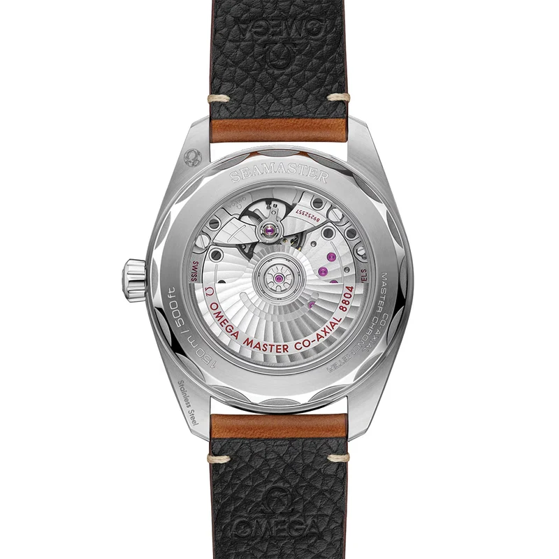 Seamaster Railmaster 38mm - Brown on Leather Strap