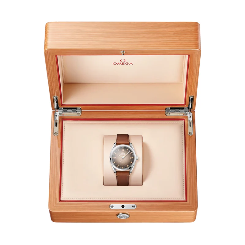 Seamaster Railmaster 38mm - Brown on Leather Strap