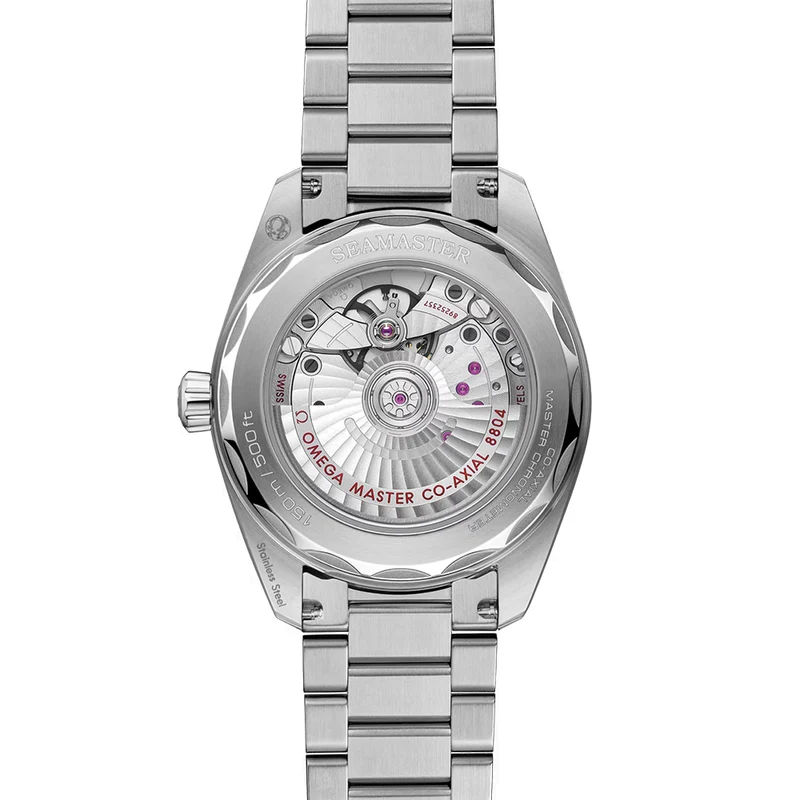 Seamaster Railmaster 38mm - Brown on Bracelet