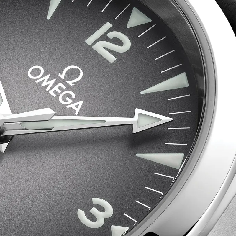 Seamaster Railmaster 38mm - Grey on Leather Strap
