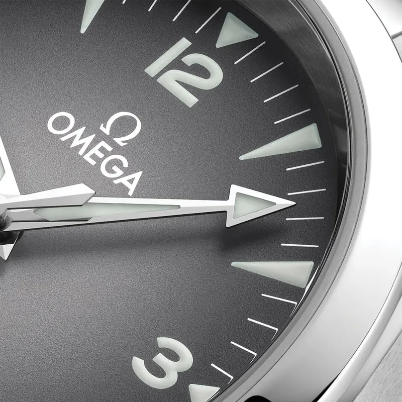 Seamaster Railmaster 38mm - Grey on Bracelet