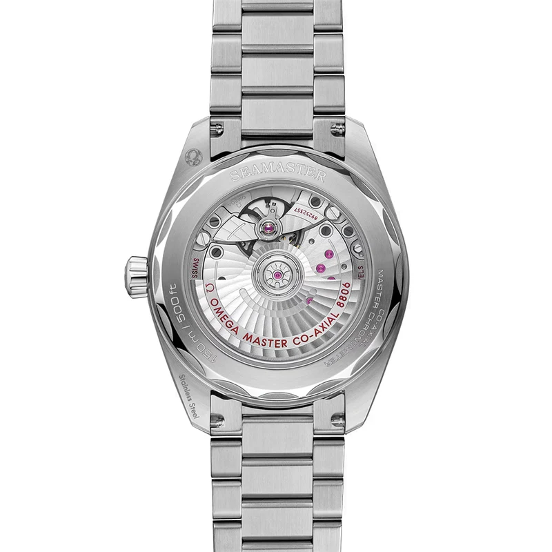 Seamaster Railmaster 38mm - Grey on Bracelet