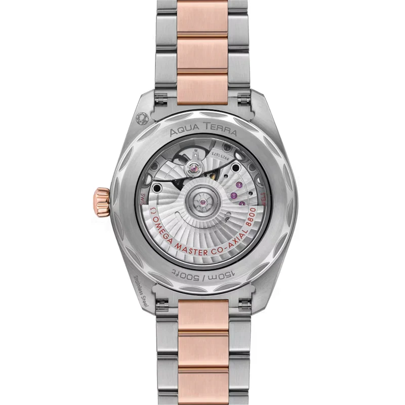 Seamaster Aqua Terra 150M Steel and Sedna™ Gold 38mm - Grey on Bracelet