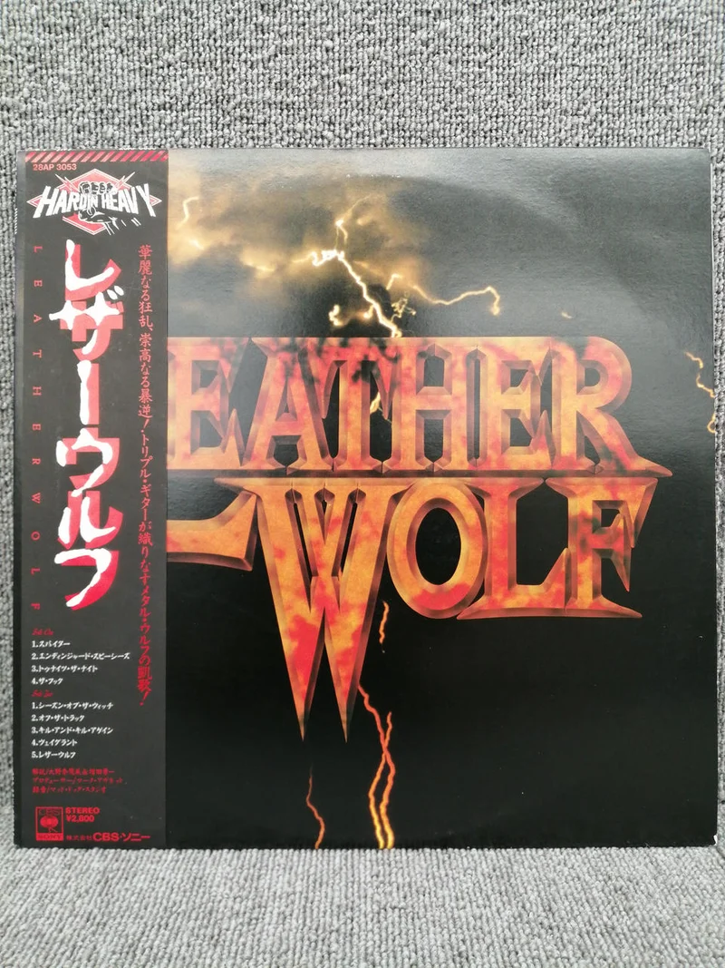 SONY Analogaufnahme LEATHERWOLF