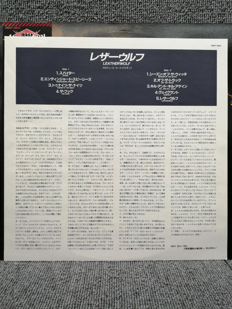 SONY Analogaufnahme LEATHERWOLF