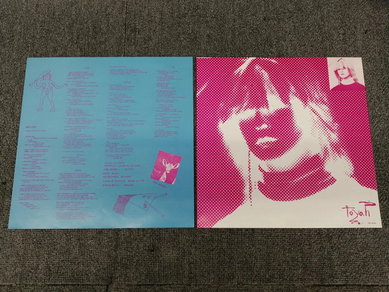 VICTOR Toya/Blue Meaning VIP-6742