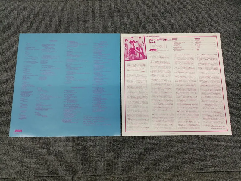 VICTOR Toya/Blue Meaning VIP-6742
