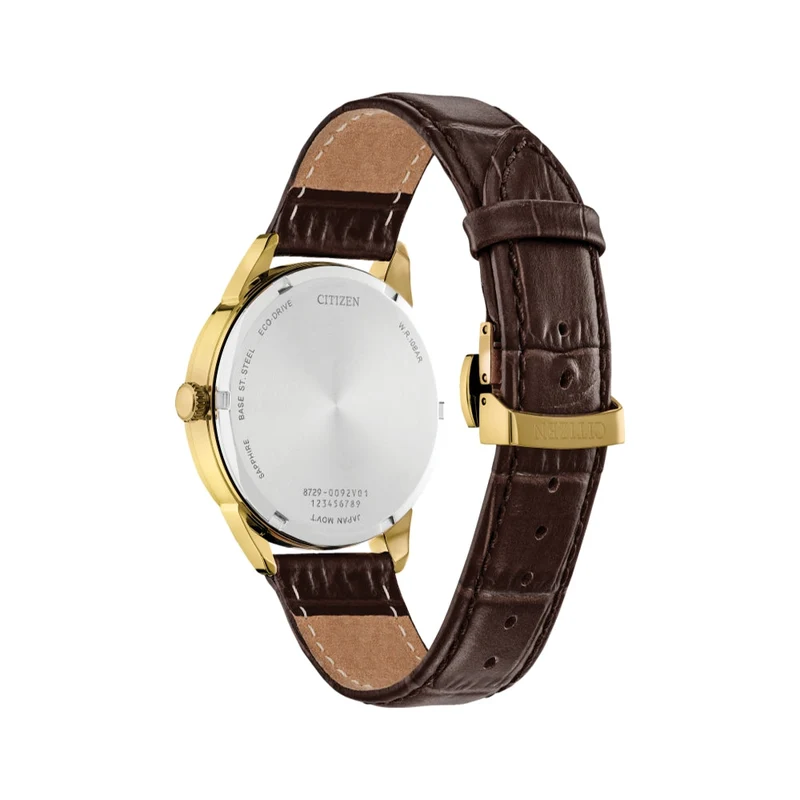 Rolan Gold-Tone 40mm - Black on Leather Strap