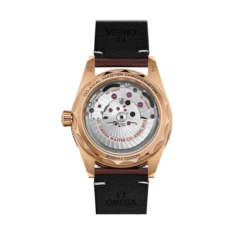 Seamaster 300 Bronze Gold 41mm - Brown on Leather Strap