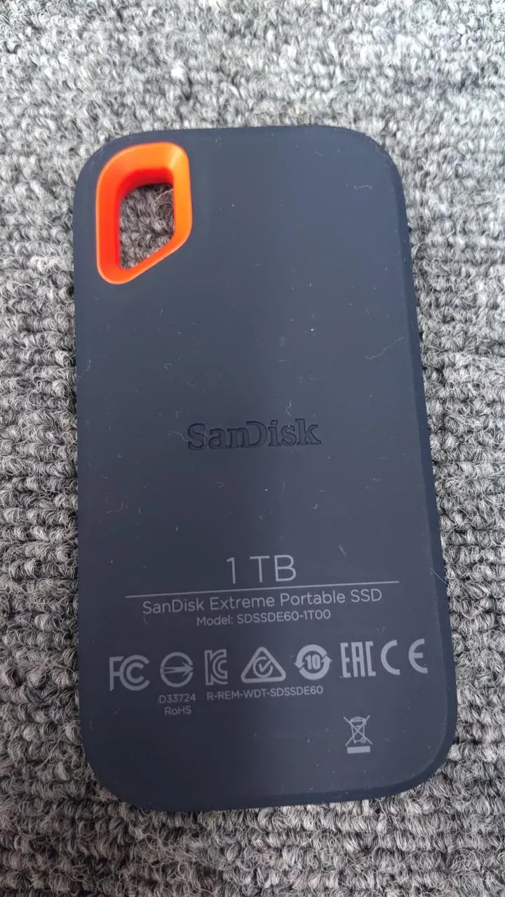 SANDISK Tragbare SSD SDSSDE60-1T00