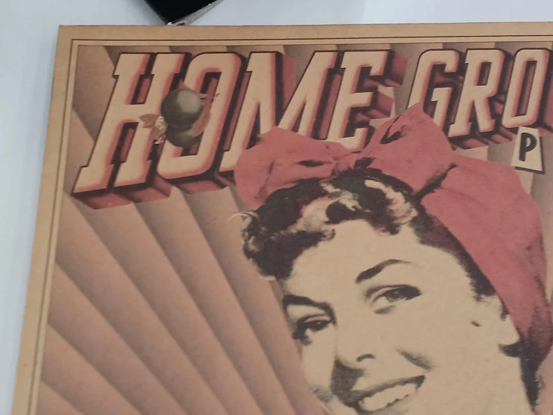 SONY HOME GROWN PARTY VOL.1 Sample Disc XDAH 93010