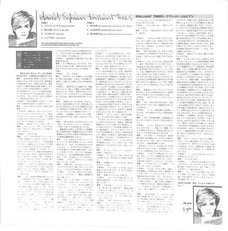 Victor David Sylvian „Brilliant Trees“ VIL-6114