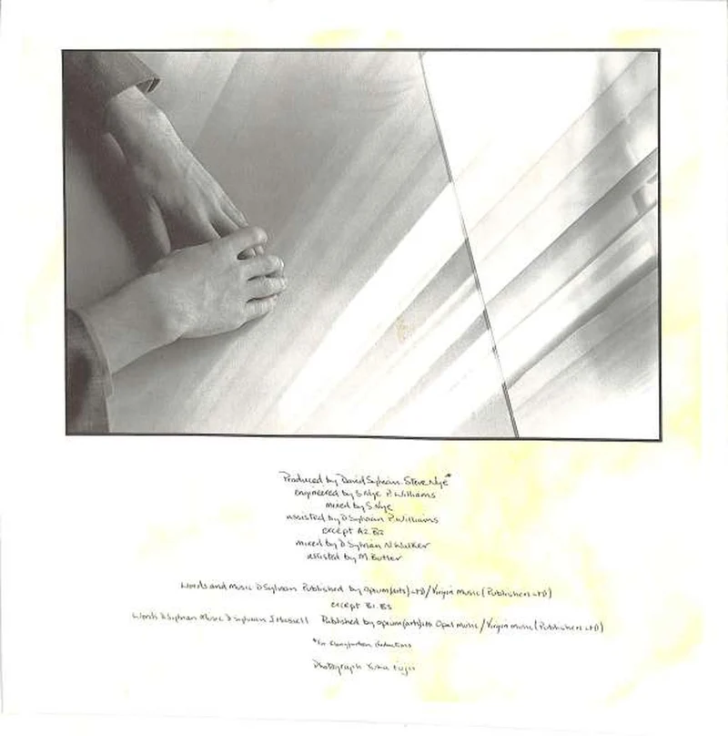 Victor David Sylvian „Brilliant Trees“ VIL-6114