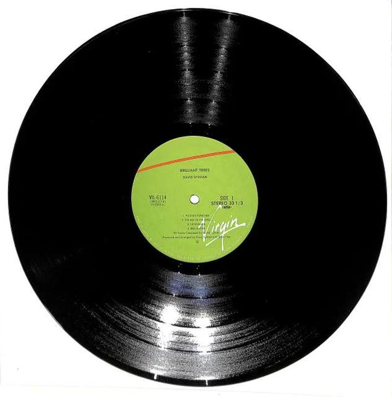 Victor David Sylvian „Brilliant Trees“ VIL-6114