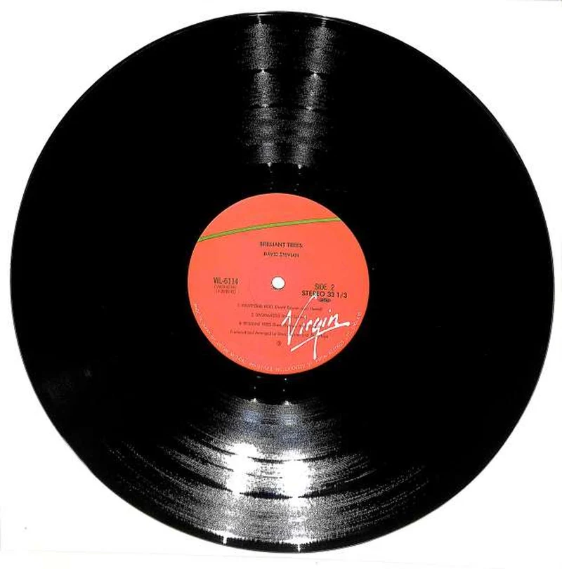 Victor David Sylvian „Brilliant Trees“ VIL-6114