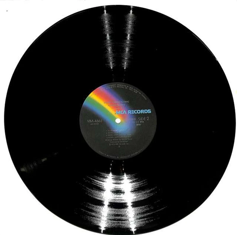 Victor Marion Brown „Sweet Earth Flying“ VIM-4665