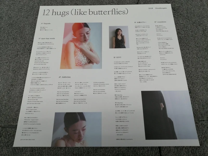 SONY Schafliteratur / 12HUGS KSJL 6223~4