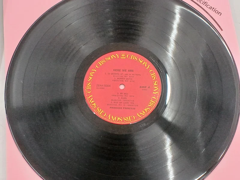 SONY HERE WE ARE / Princess Princess 28AH 5004
