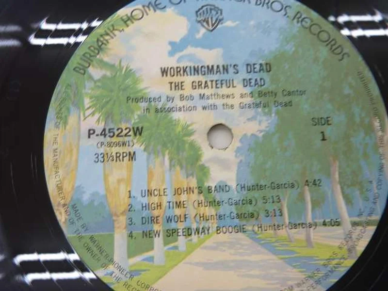 Pioniere der Westernmusik: The Gratefull Dead
