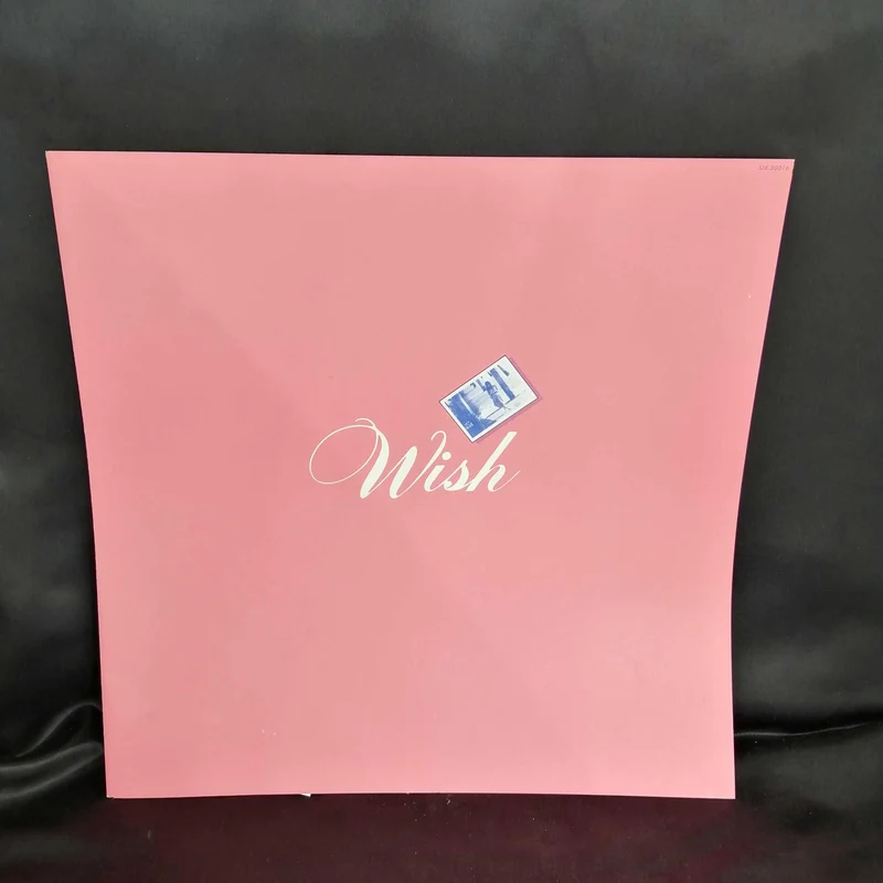 VICTOR Record WISH / Hiromi Iwasaki