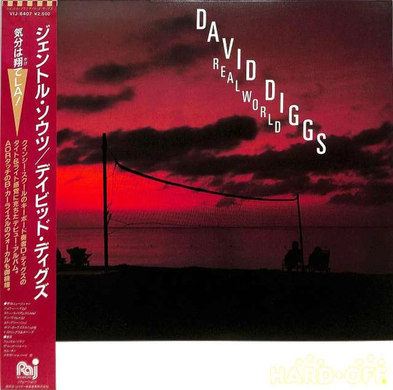 Victor David Diggs „Sanfte Gedanken“ VIJ-6407