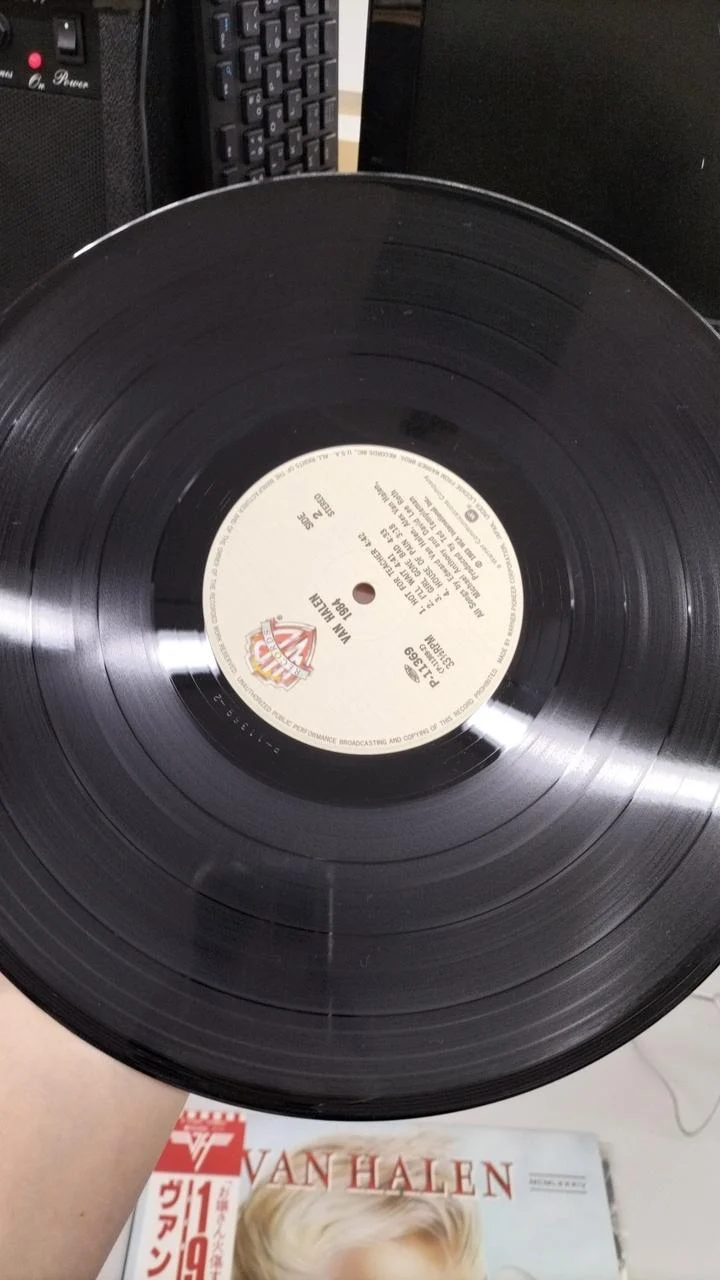 PIONEER LP Schallplatte P-11369