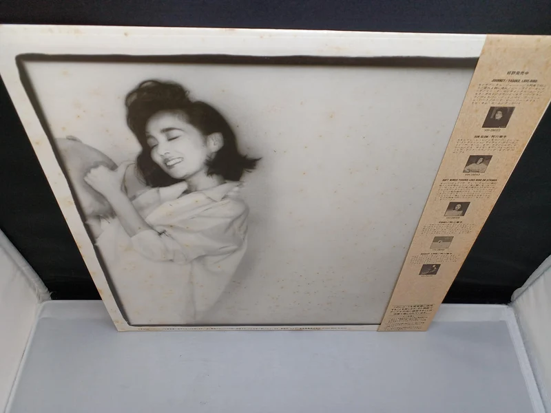 VICTOR Yasuko Agawa/GRAVY VIH-28171