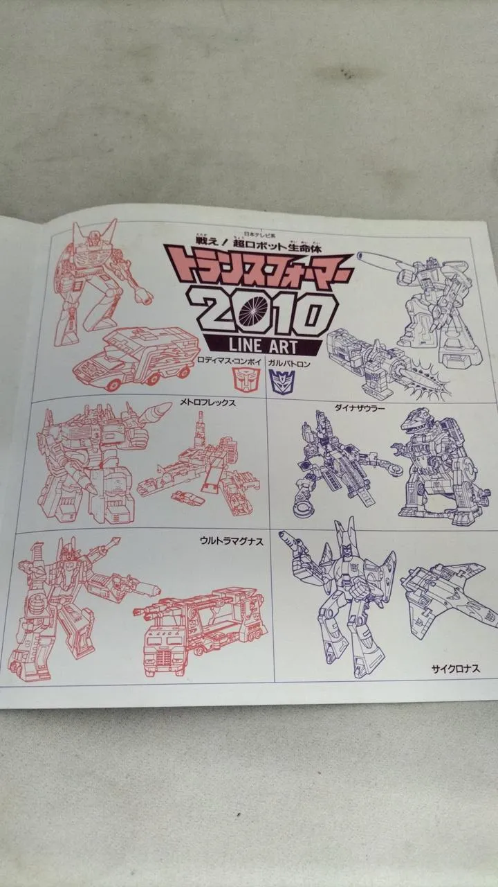 VICTOR-Rekord: Sho Hirose / Trusformer 2010
