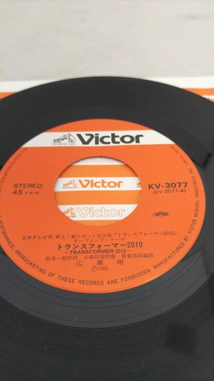 VICTOR-Rekord: Sho Hirose / Trusformer 2010