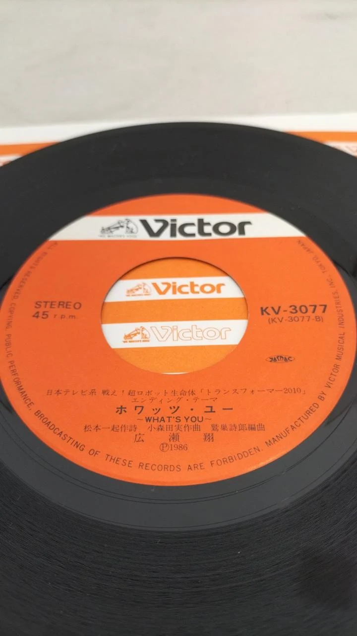 VICTOR-Rekord: Sho Hirose / Trusformer 2010