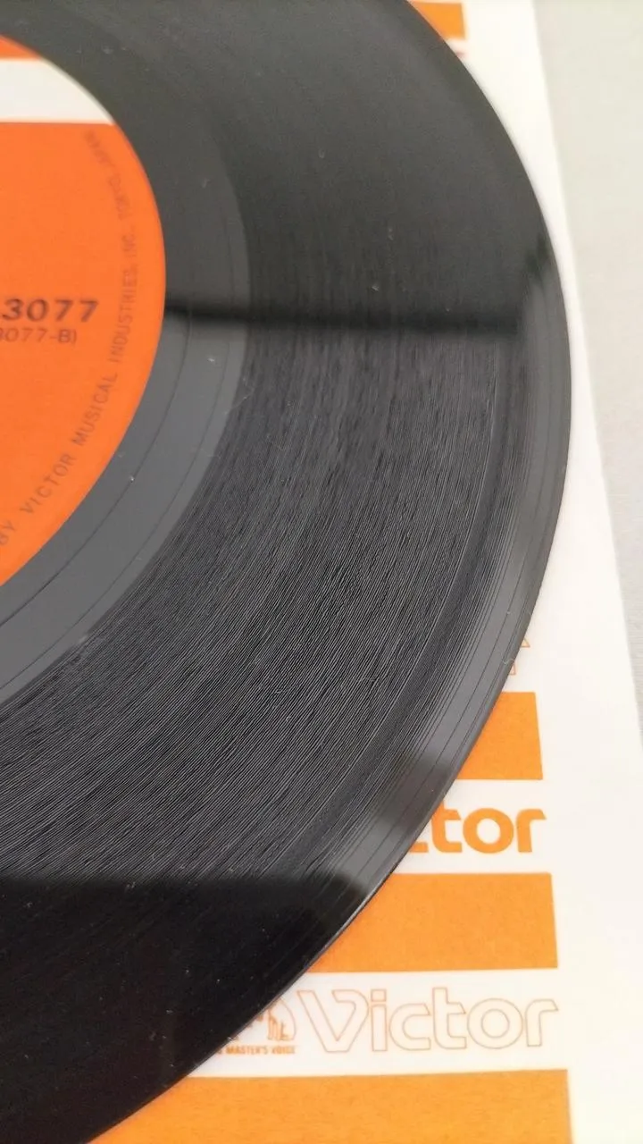 VICTOR-Rekord: Sho Hirose / Trusformer 2010