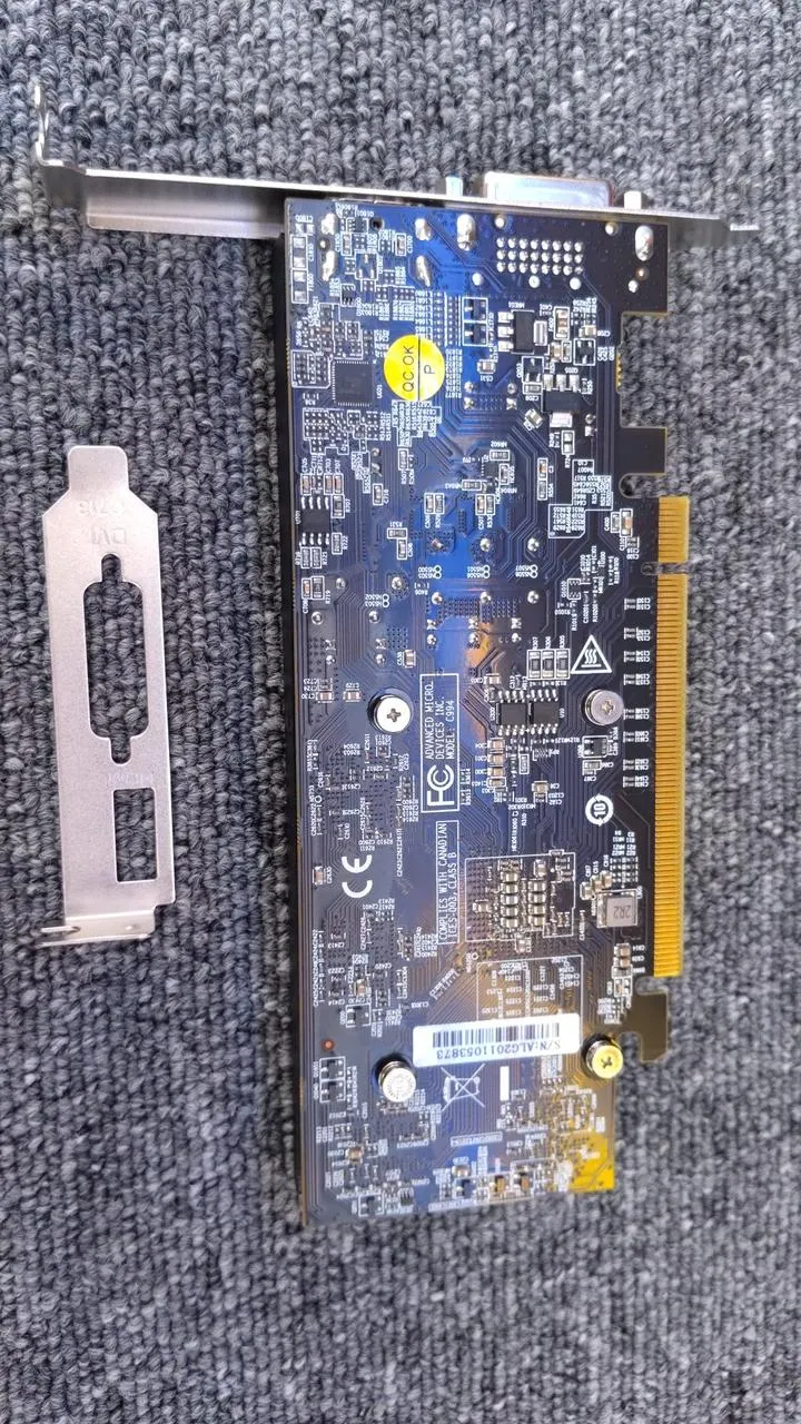 Xianren Zhizhi Grafikkarte: RD-RX550-E2GP/LP