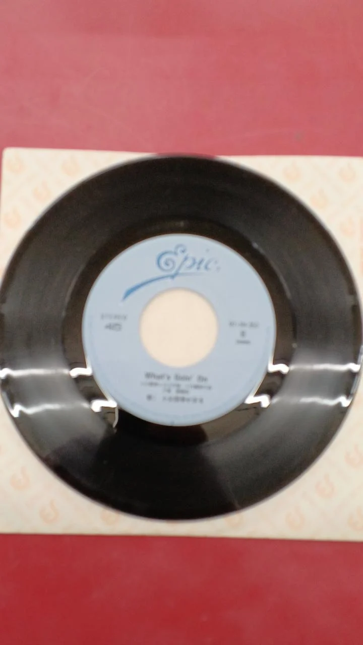 Sony Japanese Music Kahoru Kohiruimaki / CITY HUNTER ~Liebe, verschwinde nicht~