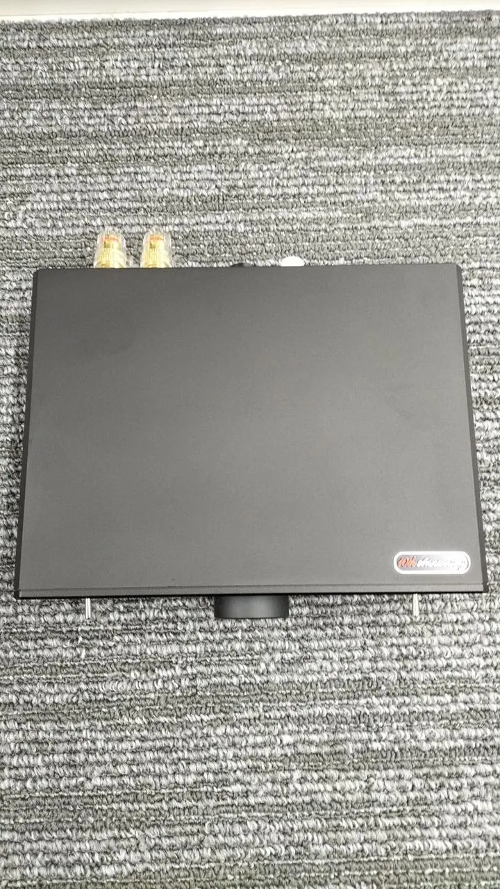 AIYIMA AUDIO Endstufe A20