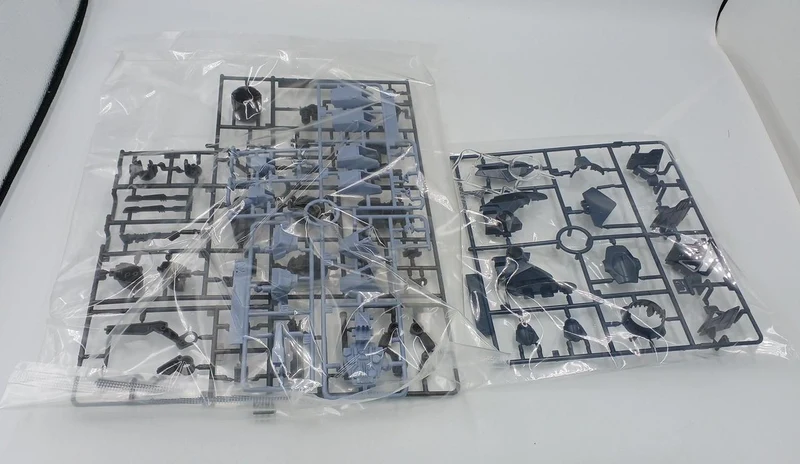BANDAI Mobile Suit Gundam SEED ECLIPSE Full Mechanics 1/100 Ale Calamity Gundam