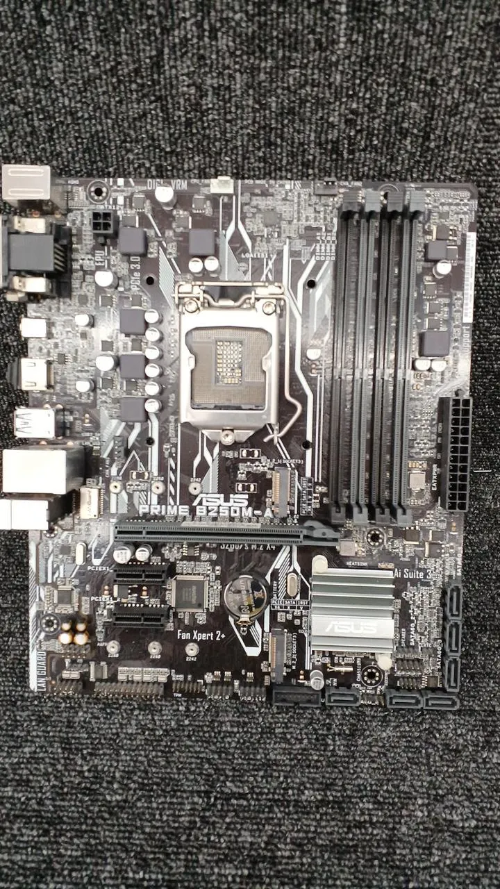 [SCHROTT] ASUS Intel-kompatibles Mainboard PRIME B250M