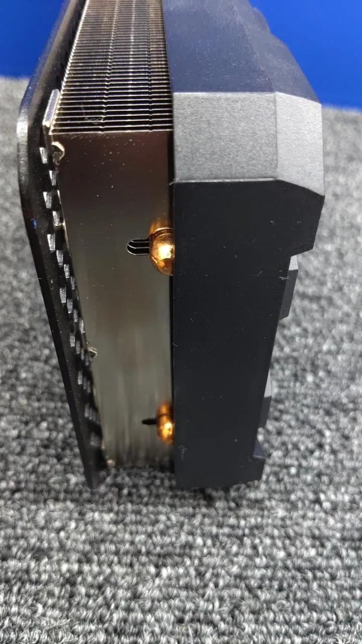 Xianren Zhizhi Grafikkarte: GG-RTX3060TI-E8GB/DF/LHR