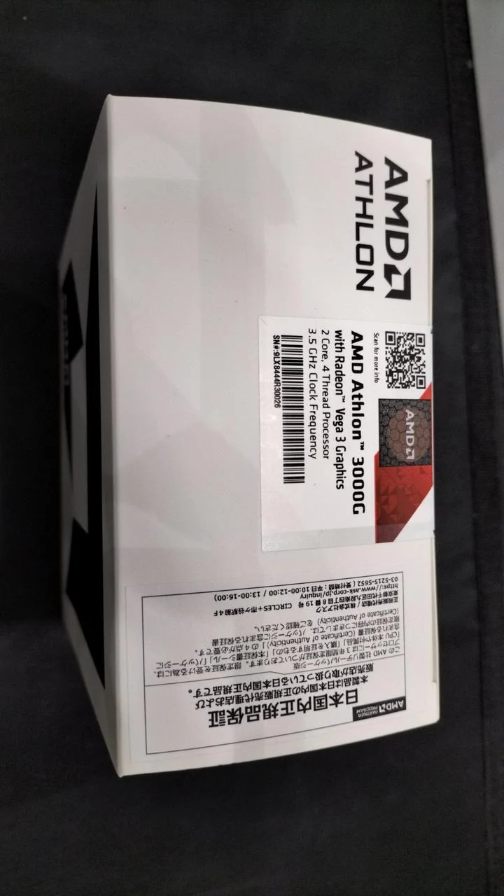 AMD ATHLON 3000G