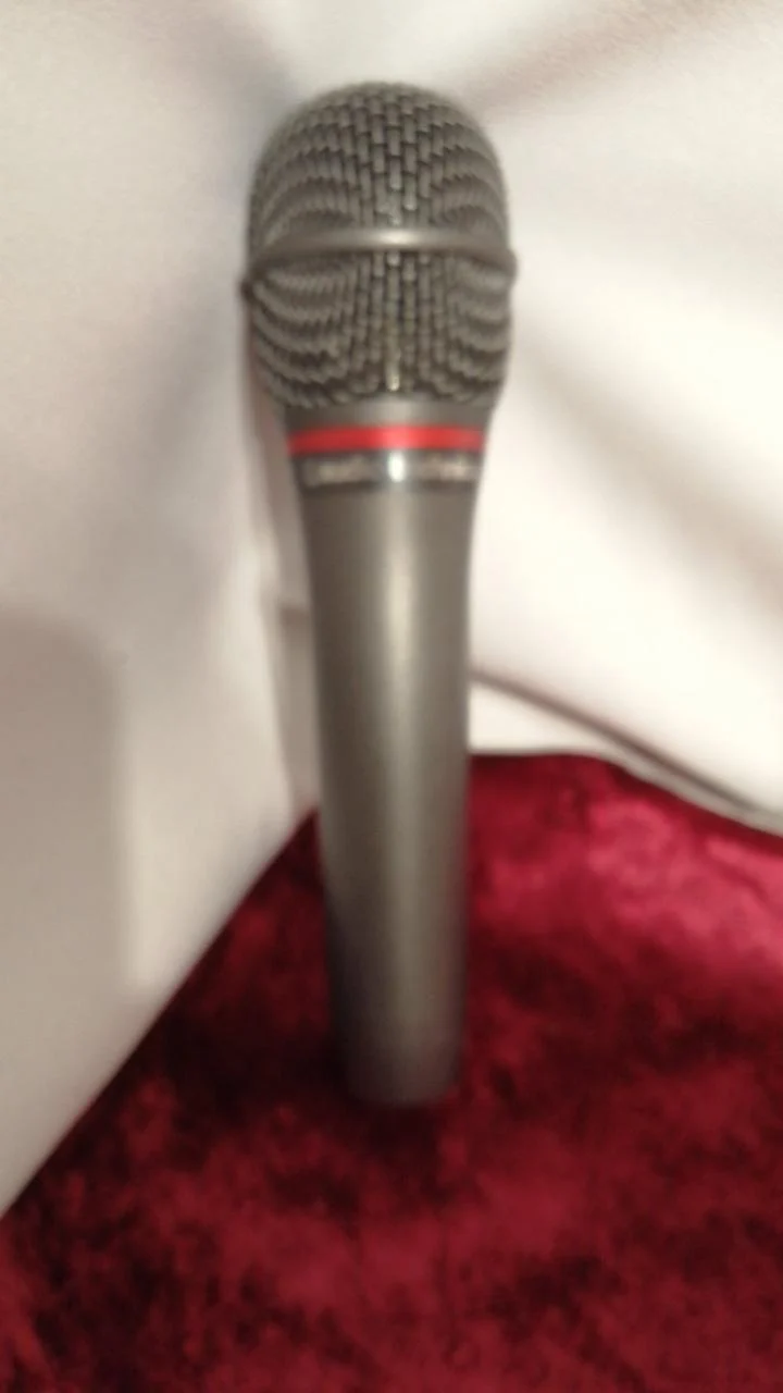 AUDIOTECHNICA Dynamisches Mikrofon AE6100