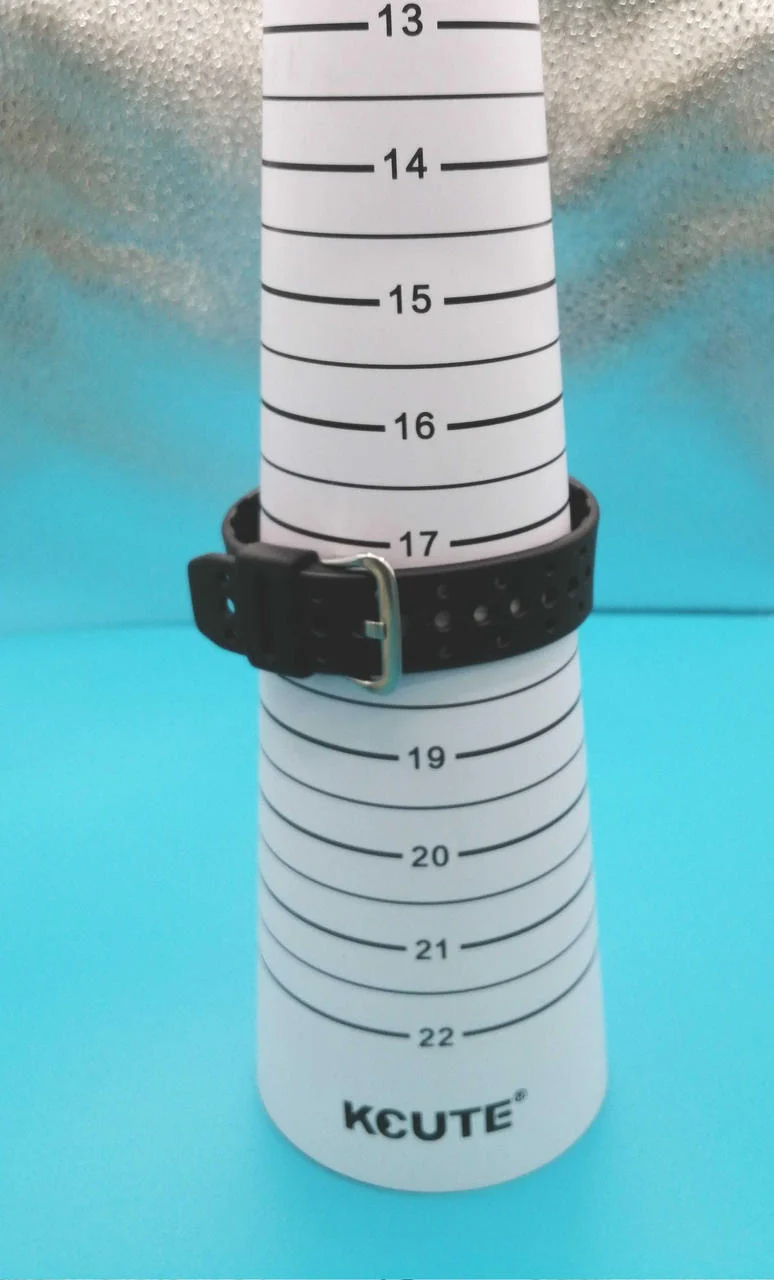 CASIO G-SHOCK DW-6600B