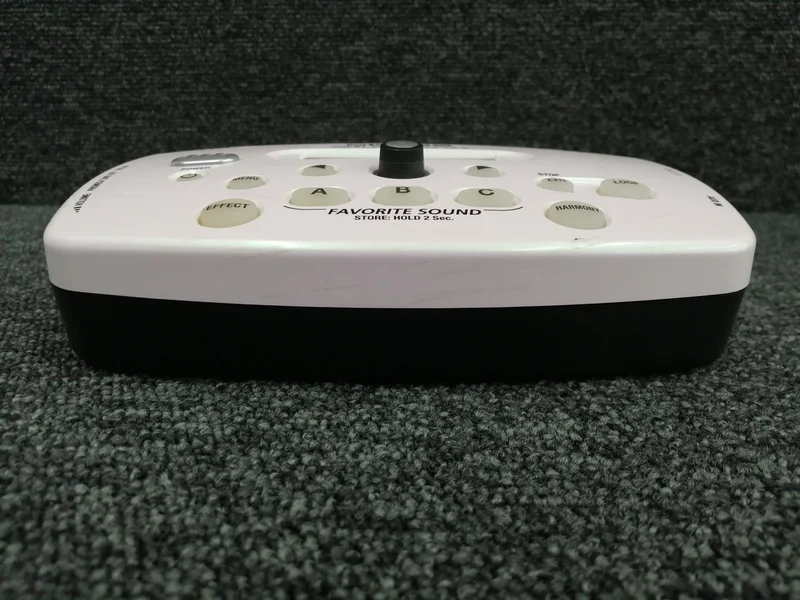 BOSS Vocal Effects VE-5