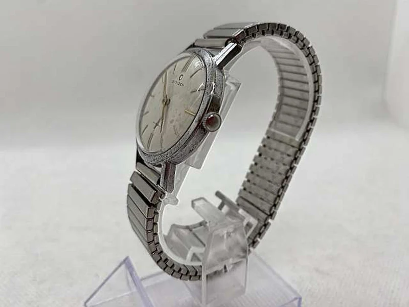 [JUNK] CITIZEN C Mark Small Seconds
