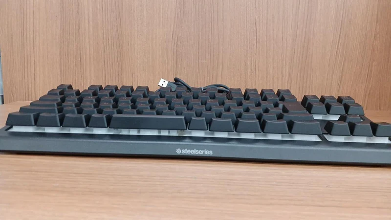 STEELSERIES Gaming-Tastaturen APEX3TKL APEX3TKL